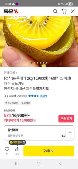 제주 골드키위 특대과 2kg 16과내외