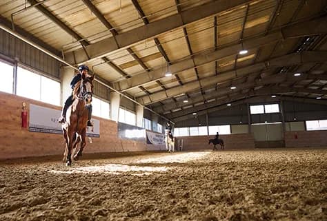 경기도민 문화생활지원 문화소비쿠폰