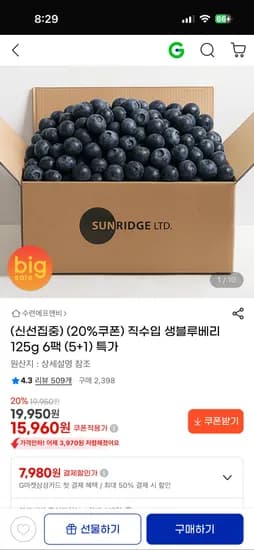 수련에프앤비 칠레산 생블루베리 125g 5+1 6팩