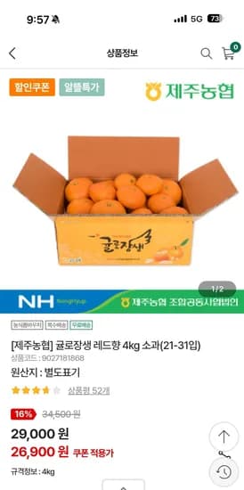 제주농협 귤로장생 레드향 4kg 소과 21-31입