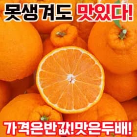 제주 하우스 한라봉 가정용 중품 5kg