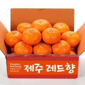12Brix 서귀포 레드향 4kg 소과