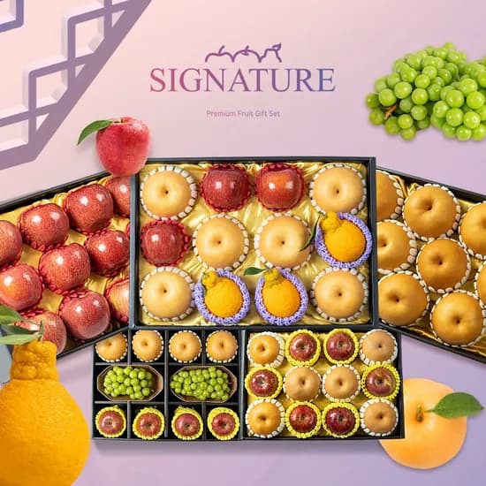 나주배 선물세트 고급형 5kg 5-8과