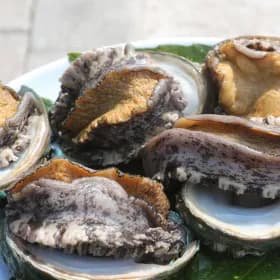 완도 왕특대 활전복 8-9미 1kg 산소포장