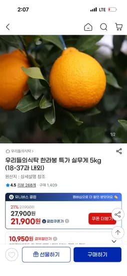 한라봉 특가 실무게 5kg (18-37과내외) 21,900원/무배