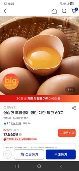 싱싱한 무항생제 생란 계란 특란 60구 17,560원 무배