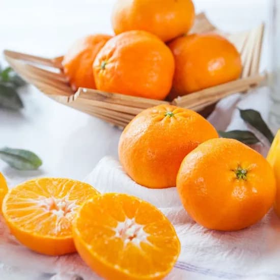 노지 레드향 3kg 9-14과 첫구매쿠폰 적용시 11800원