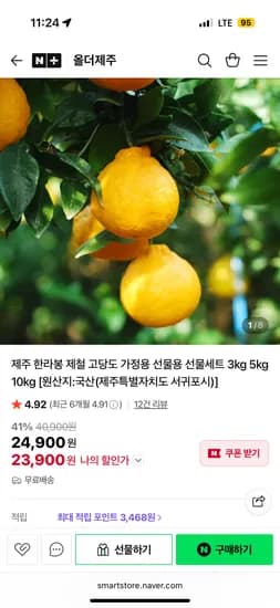 올더제주 한라봉 제철 고당도 선물세트 3kg 5kg 10kg/ 13,900~ 무배