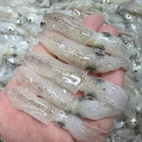 국내산 호래기 500g 13,210원 무배