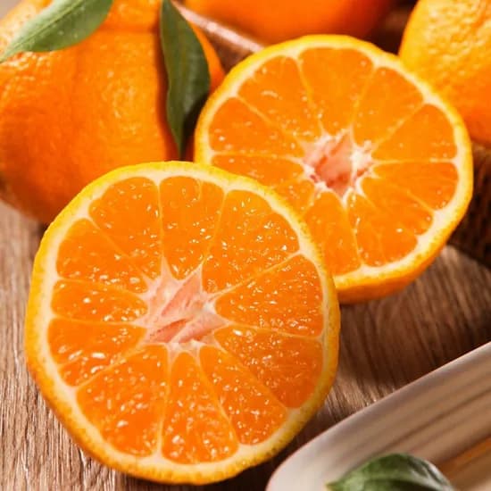 제주직송 고당도 한라봉 로얄과 4.5kg 17,700원