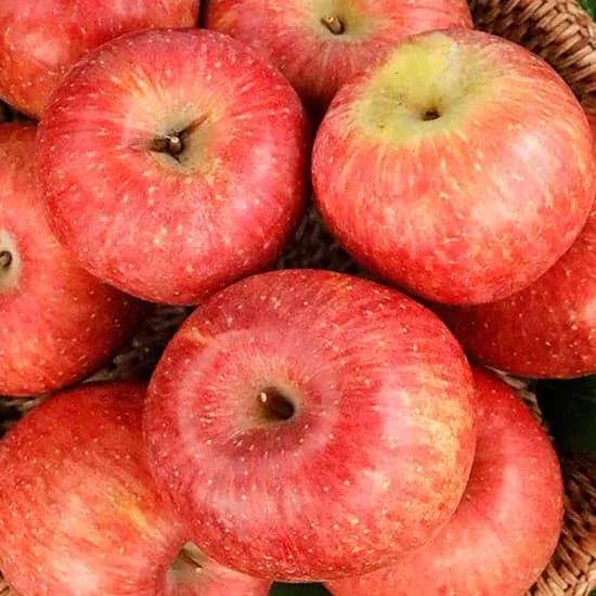 부사사과 중소과 1.5키로(8-10개) 13,900원 무배