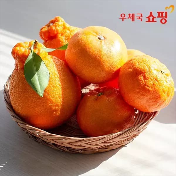 우체국쇼핑 13brix 이상 제주 하우스 한라봉/레드향/천혜향 2kg 10950원 고당도임 초핫딜