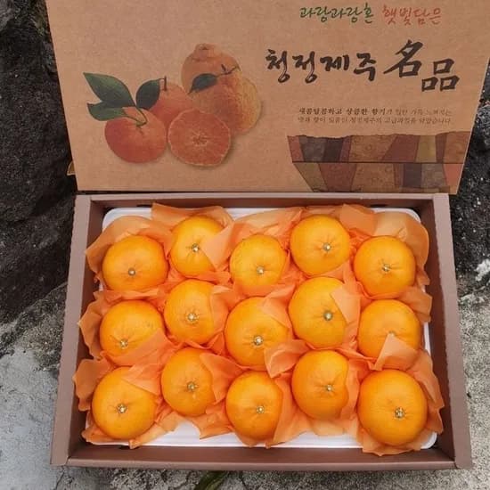 제주직송 향긋 천혜향 가정용 3kg 15,960원