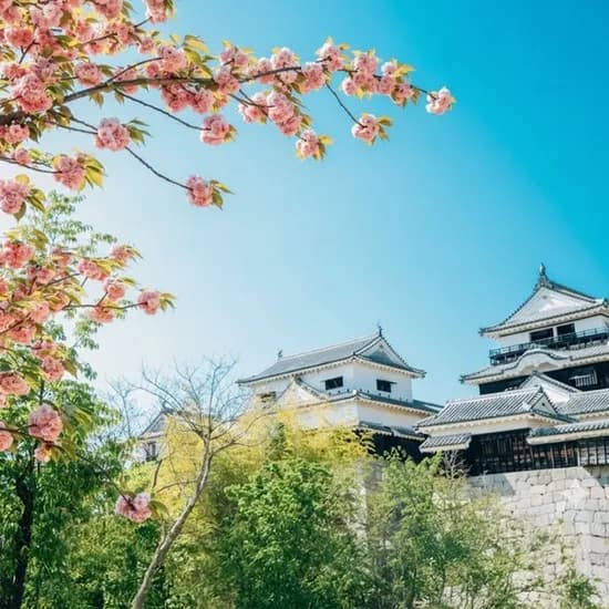 마츠야마 패키지 3/4일 199,930원