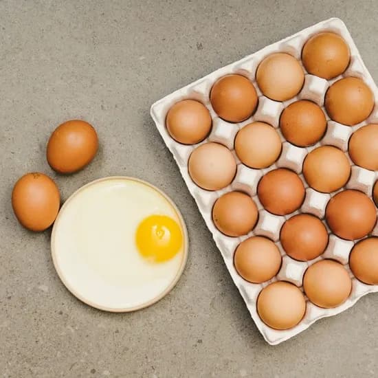 난각번호 1번 무항생제 유정란 20구 8,770원 무배