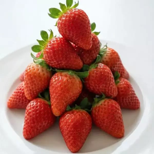 신품종 고당도 홍희딸기 500g내외 15~20구 11,480원 무배