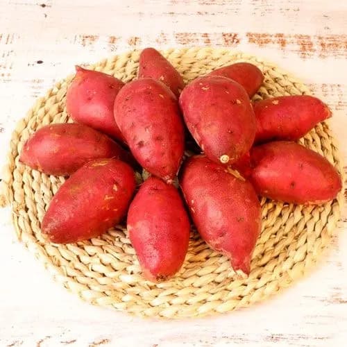 해남 특품 꿀고구마 특상 3kg 9,450원 무배