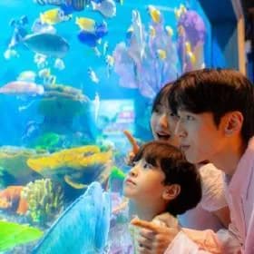 씨라이프 코엑스 아쿠아리움 20,250원