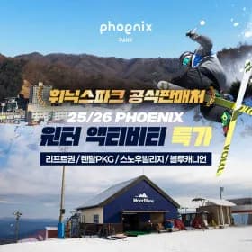 평창 휘닉스파크 윈터액티비티 22,050원