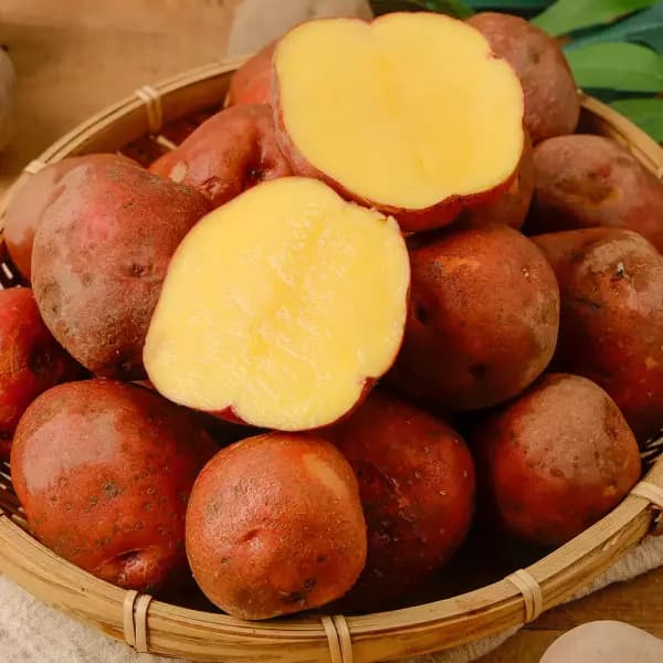 국내산 포슬 카스테라 홍감자3kg(대) 10,980원