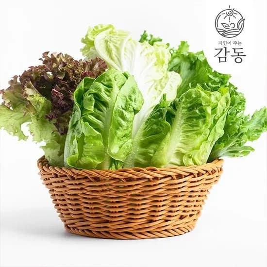 고흥 유러피언 샐러드 쌈채소 1kg 9,080원