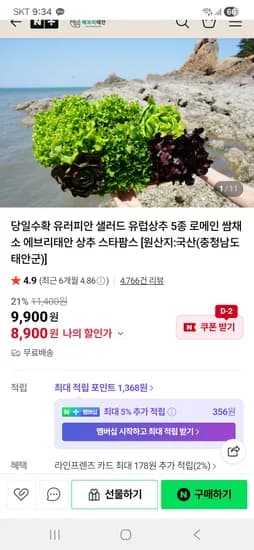 에브리태안 당일수확 유러피안 샐러드 5종 8,900원 무배