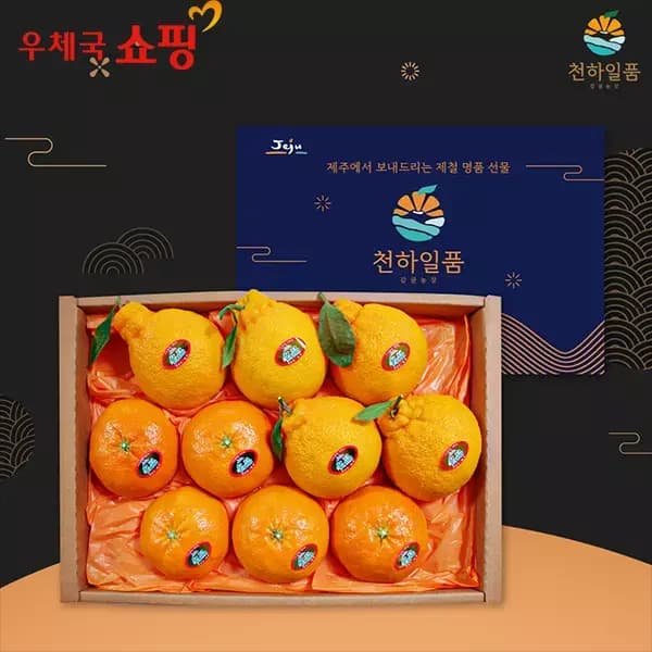 명절 선물로 딱! 우체국쇼핑 제주 한라봉+레드향 선물세트 2kg 15,750원 무배 싸네요