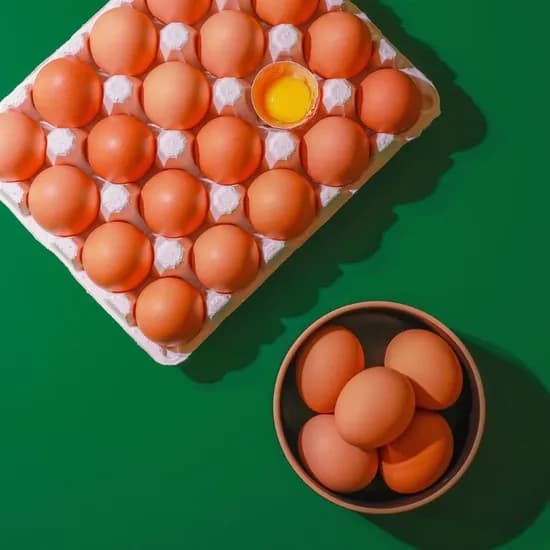 무항생제 난각번호 1번 방사 유정란 40구 13,250원