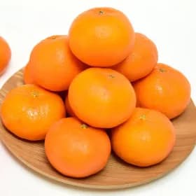 제주도 레드향 가정용 4.5kg 실속형 혼합과 19,120원