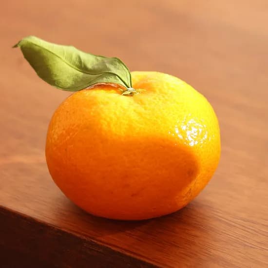 제주 타이백 감귤4.5kg 9,850원 무배 초핫딜 (온누리체감 8,865원)