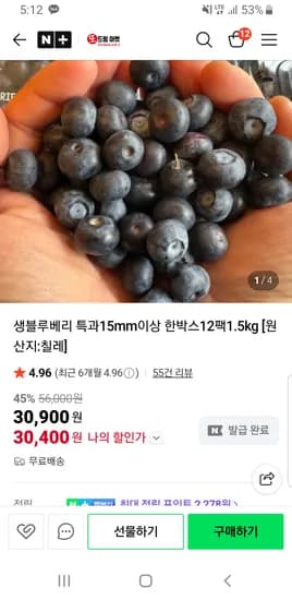 또드림마켓 생블루베리 특과 12팩 30400원 무배