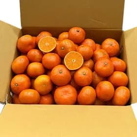 제주 초고당도 산하홍 3KG 혼합과 감귤 17,920원