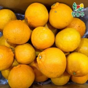 산지직송 제주 노지 한라봉 5kg / 23,750원