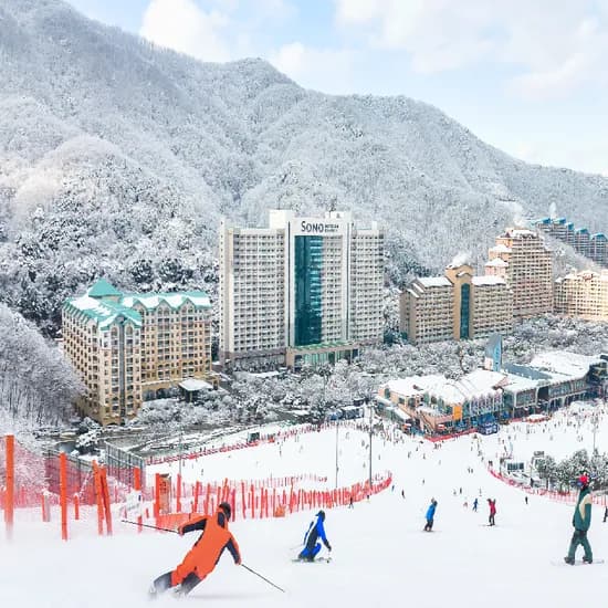 홍천 비발디파크 스키 리프트/장비렌탈 PKG/스노위랜드/오션월드 택 1 27400원