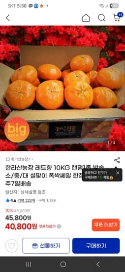한라산농장 레드향 랜덤과 10KG 40800원(랜덤과)-후기있음