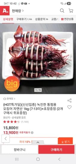 녹진한 통찜용 오징어 자연산 1kg 7-13미 초장