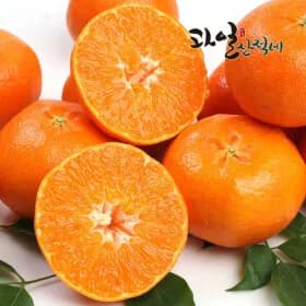 제주직송 레드향 벌크 중대과 2.5kg