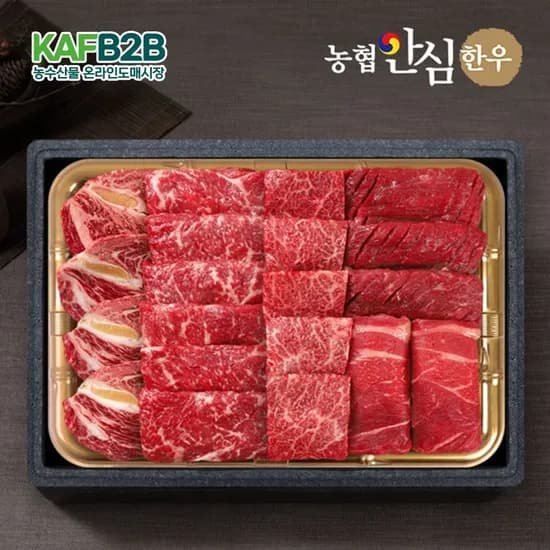 농협안심한우 1등급 모듬채반 1kg