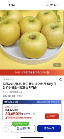 황금사과 시나노골드 꿀사과 가정용 5kg