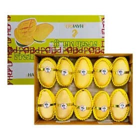 프리미엄 고당도 골드망고 4kg