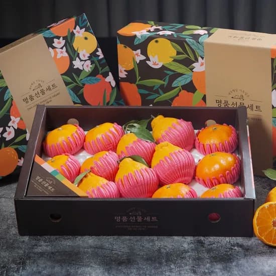 제주 레드향 천혜향 한라봉 혼합 선물세트 4.5kg 12입-15입