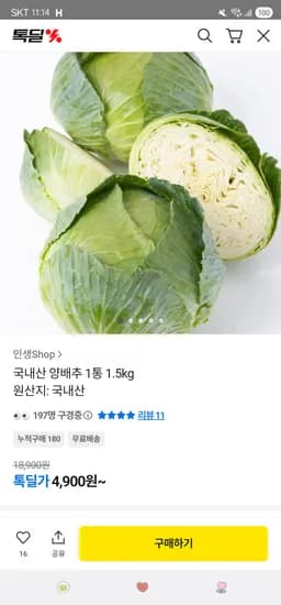 카카오 국내산 양배추 1통 1.5kg 이상