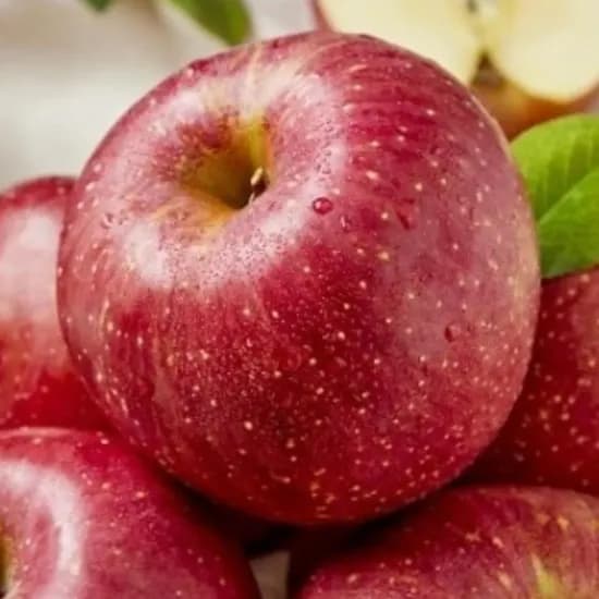 온누리 고당도 사과 가정용 2kg 선물세트 38,710원