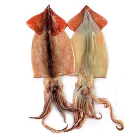 손질 오징어 대 1.4kg 4-6미