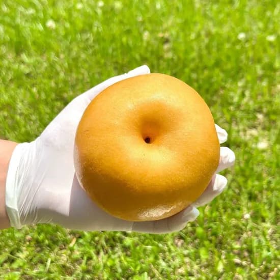 고당도 배 선물용 9과 온누리 39,920원