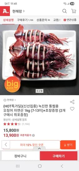 오징어 1kg 7~13미 초장증정