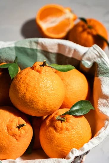 오브푸드 한라봉 못난이 5kg 혼합