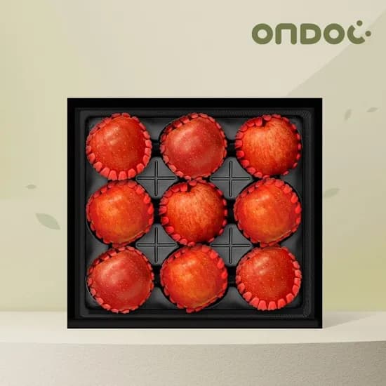 안동 사과 선물세트 2.5kg 9과