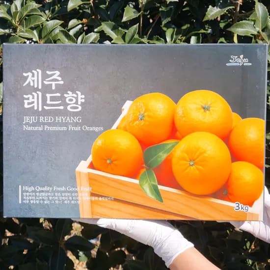 고당도 제주 레드향 3kg 31,920원