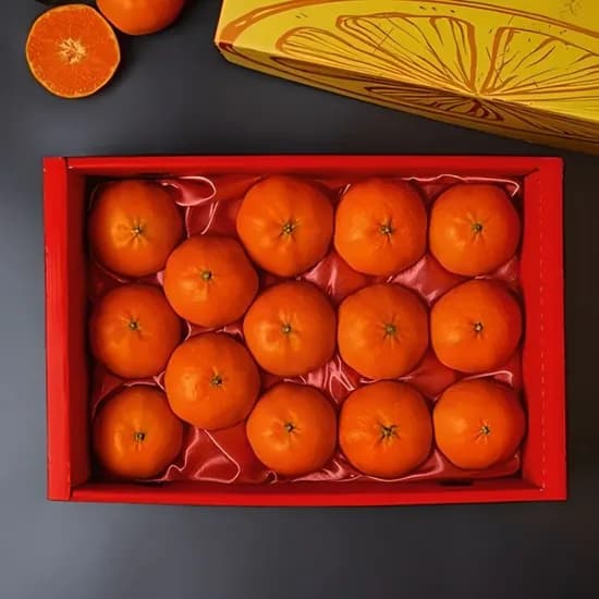 제주 레드향 선물세트 2.6kg 15과내외